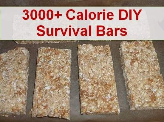 May be an image of text that says '3000+ Calorie DIY Survival Bars'