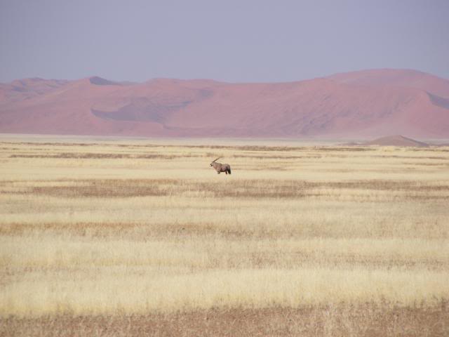 africa08376.jpg