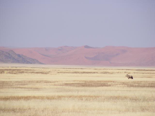 africa08379.jpg