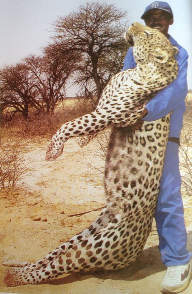 leopardhugeblue_zpsc58ea987.jpg