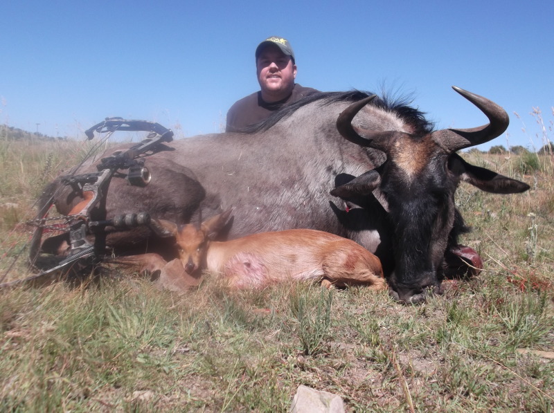 combo-wildebeestandsteenbok2.jpg