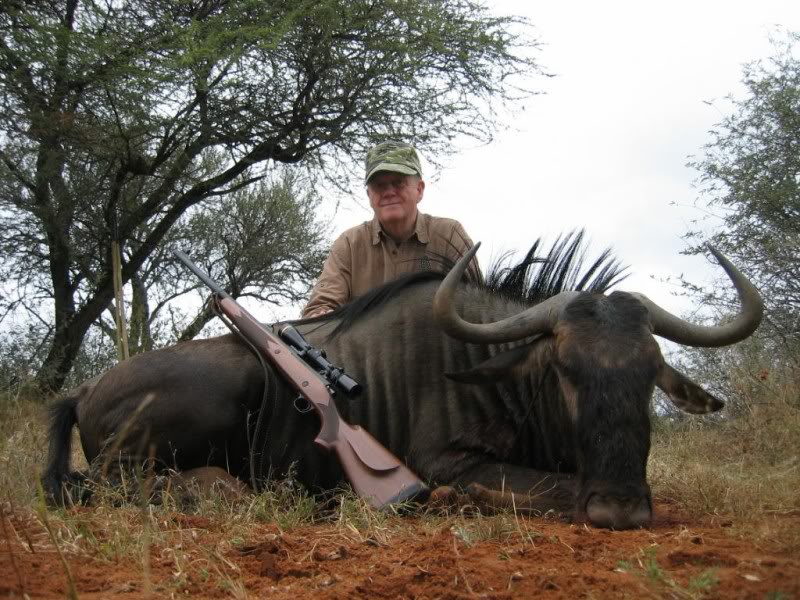 Wildebeest28tommer.jpg