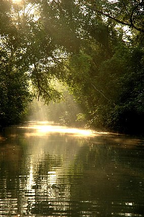 284px-Sun_in_Sunderbans.jpg