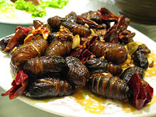 220px-Silkworm_pupae_to_eat.jpg