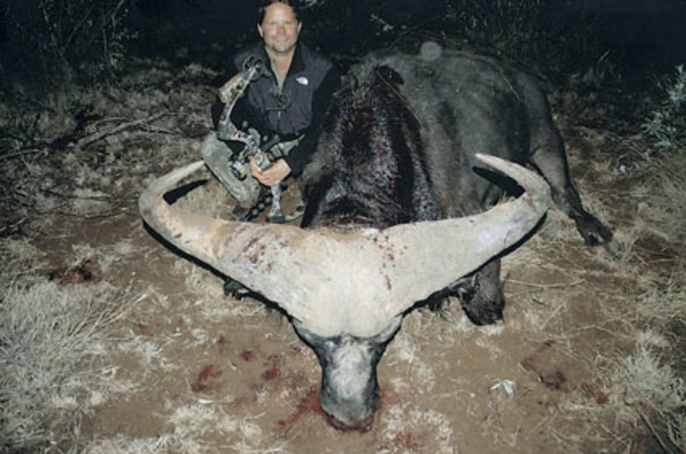 7._Gregory_S._Williamson_cape_buffalo.jpg